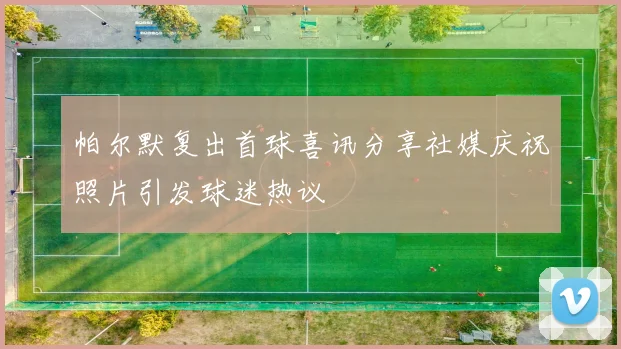 帕尔默复出首球喜讯分享社媒庆祝照片引发球迷热议