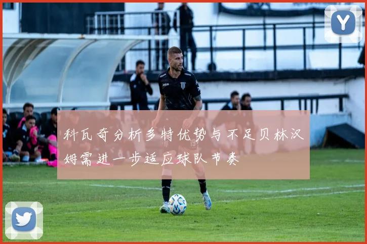 科瓦奇分析多特优势与不足贝林汉姆需进一步适应球队节奏