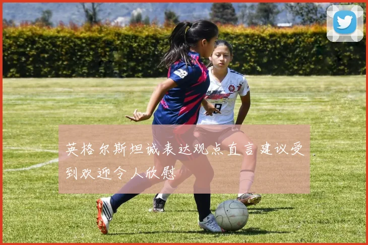 英格尔斯坦诚表达观点直言建议受到欢迎令人欣慰