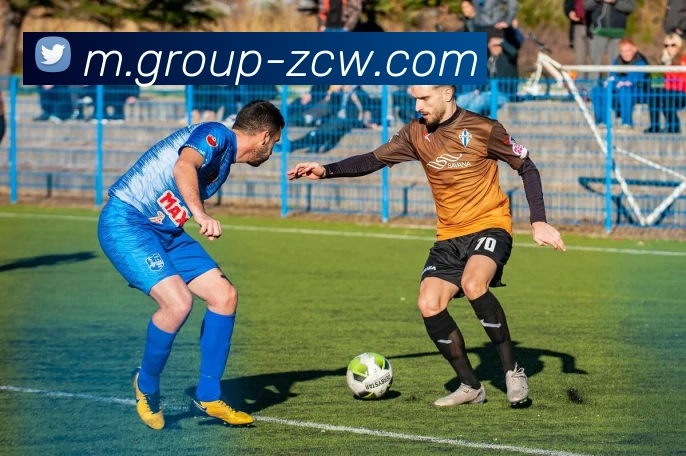 足彩网服务体系