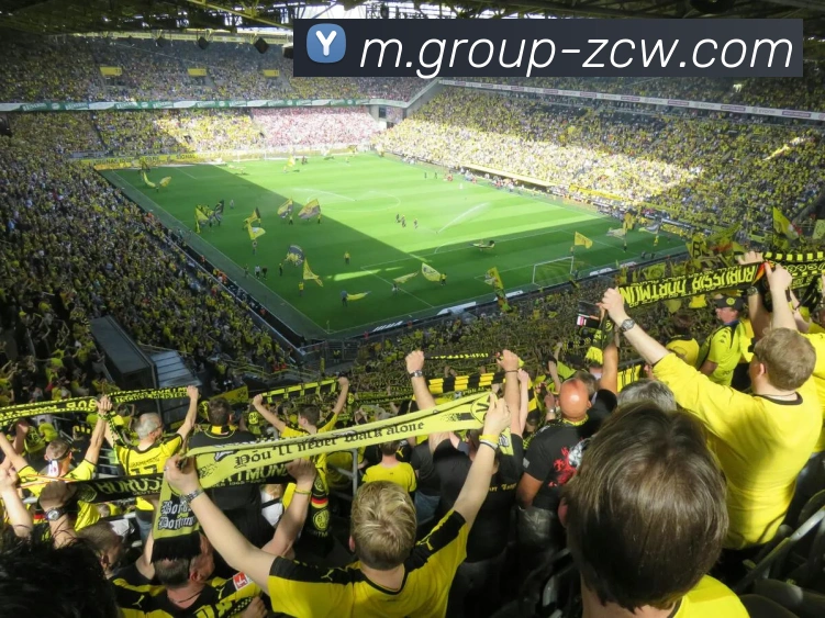 多媒体互动体验